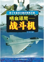 嗜血雄鹰：战斗机