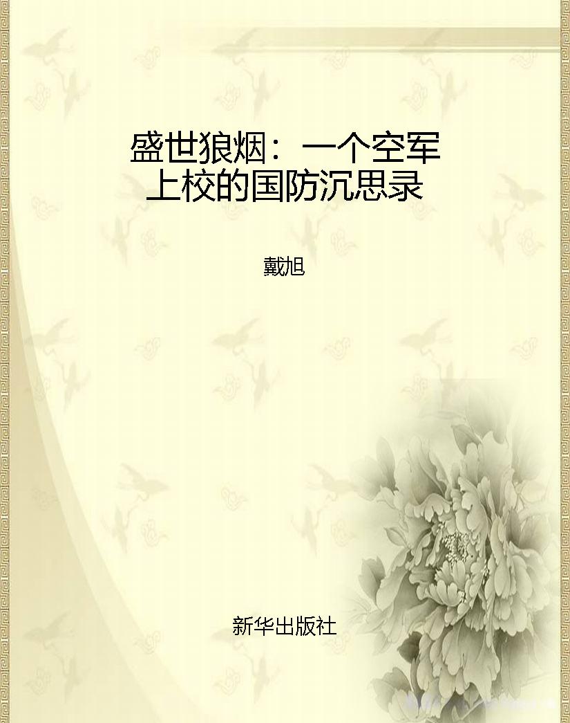 盛世狼烟：一个空军上校