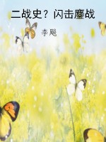 二战史？闪击鏖战