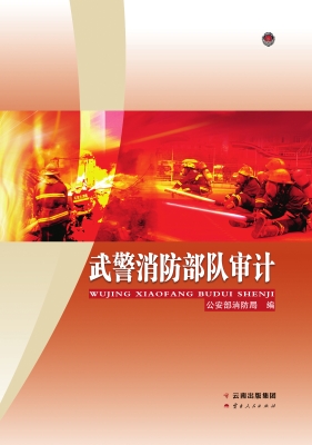 武警消防部队审计