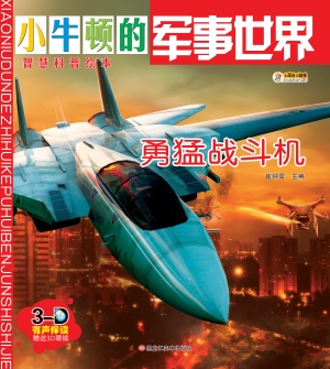 勇猛战斗机