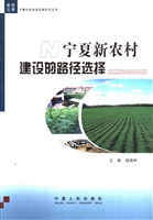 宁夏新农村建设的路径
