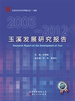 玉溪发展研究报告（2003