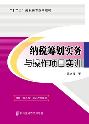 纳税筹划实务与操作项
