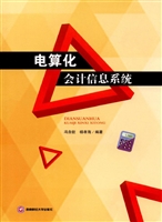 电算化会计信息系统