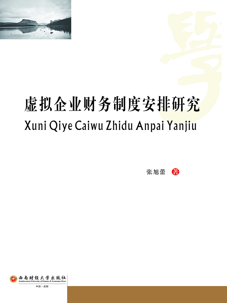 虚拟企业财务制度安排
