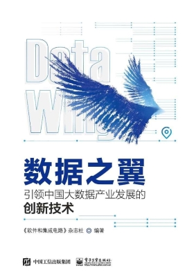 数据之翼——引领中国
