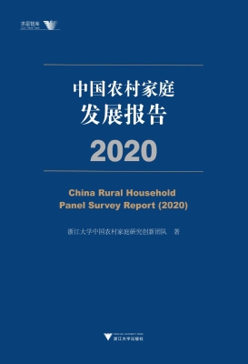 中国农村家庭发展报告