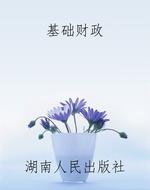 基础财政