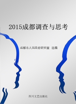 2015成都调查与思考