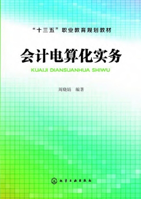 会计电算化实务