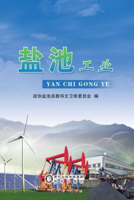 盐池工业
