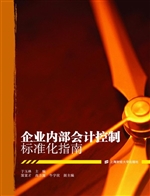 企业内部会计控制标准