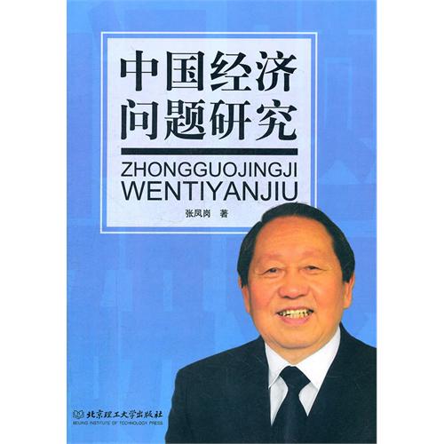中国经济问题研究