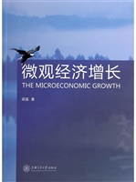 微观经济增长