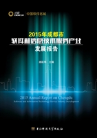 2015年成都市软件和信