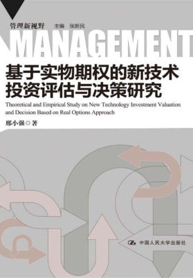 基于实物期权的新技术