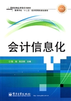 会计信息化
