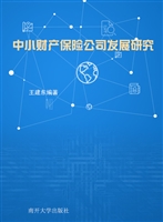 中小财产保险公司发展