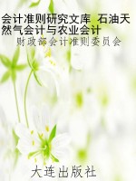 会计准则研究文库 石