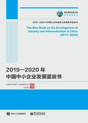 2019—2020年中国中小