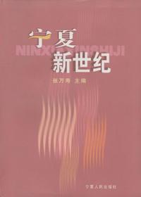 宁夏新世纪