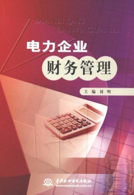 电力企业财务管理