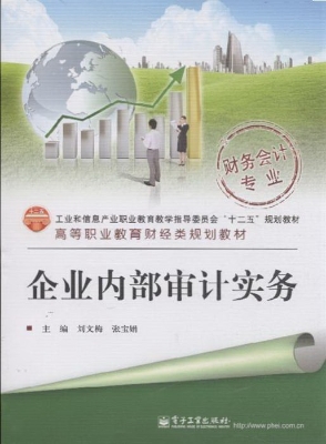 企业内部审计实务