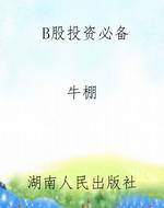 B股投资必备