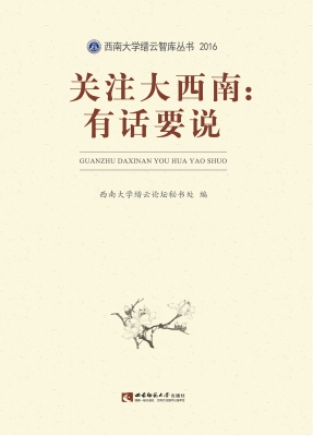 关注大西南：有话要说