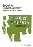 产业集群营销管理研究