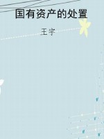 国有资产的处置