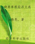 晓亮草根经济文选