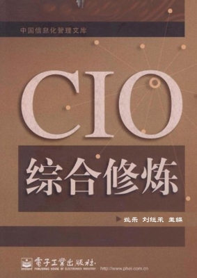 CIO综合修炼