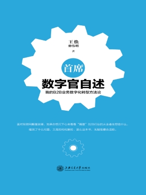 首席数字官自述——我