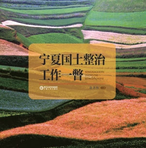 宁夏国土整治工作一瞥