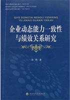 企业动态能力一致性与