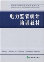电力监管统计培训教材