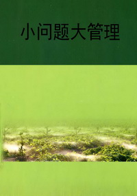 小问题大管理