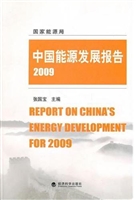 中国能源发展报告