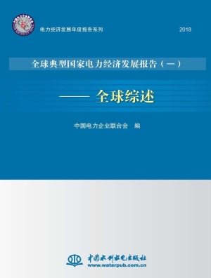 全球典型国家电力经济