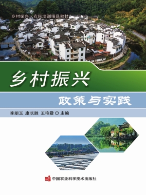 乡村振兴政策与实践