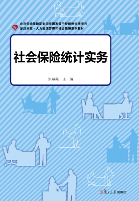 社会保险统计实务