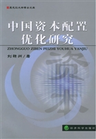 中国资本配置优化研究