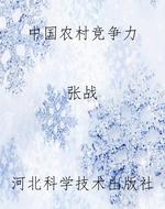 中国农村竞争力