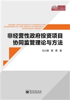 非经营性政府投资项目