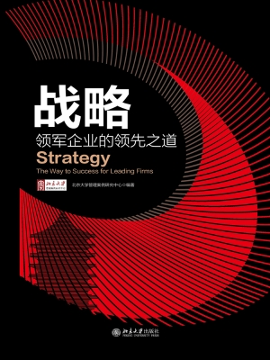 战略：领军企业的领先之