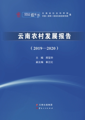 云南农村发展报告（2019