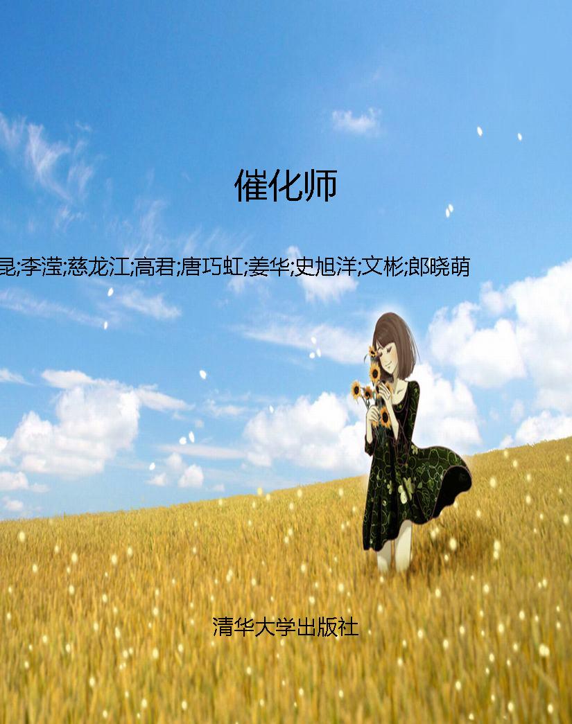 催化师
