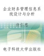 企业财务管理信息系统